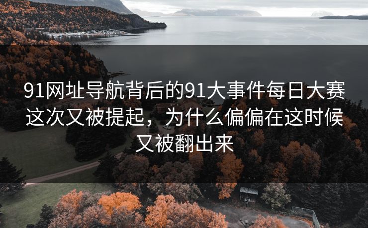 91网址导航背后的91大事件每日大赛这次又被提起，为什么偏偏在这时候又被翻出来