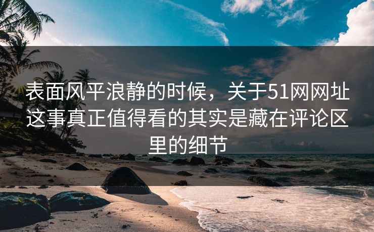 表面风平浪静的时候，关于51网网址这事真正值得看的其实是藏在评论区里的细节