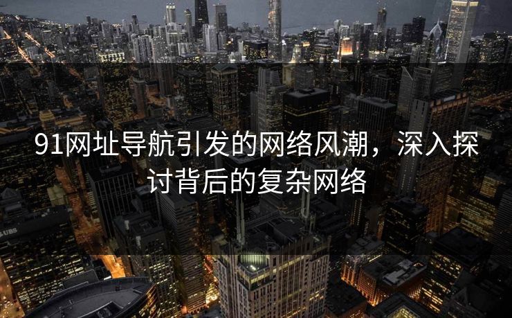 91网址导航引发的网络风潮，深入探讨背后的复杂网络