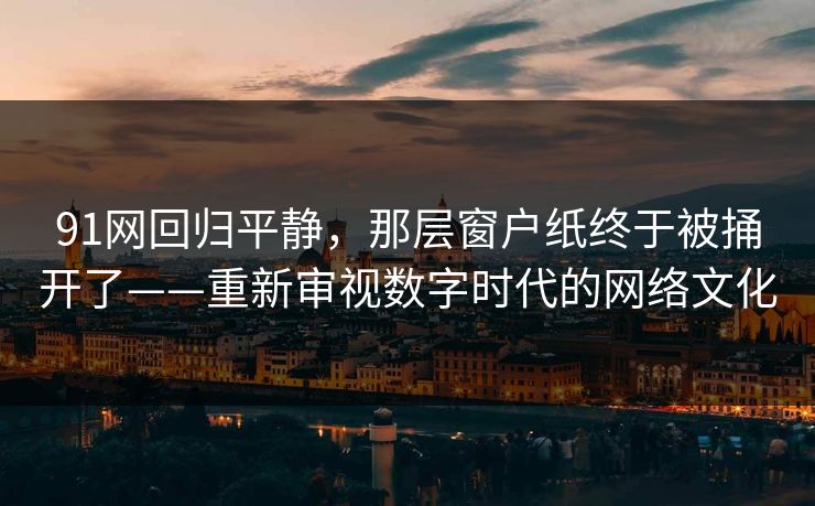 91网回归平静，那层窗户纸终于被捅开了——重新审视数字时代的网络文化