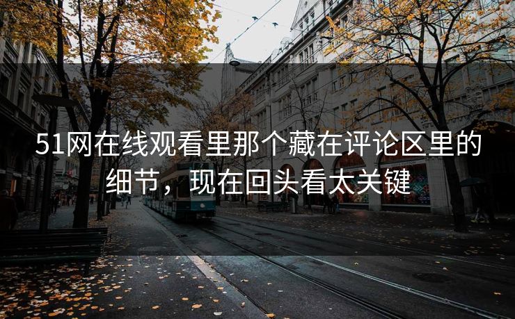 51网在线观看里那个藏在评论区里的细节，现在回头看太关键