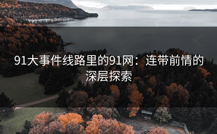 91大事件线路里的91网：连带前情的深层探索