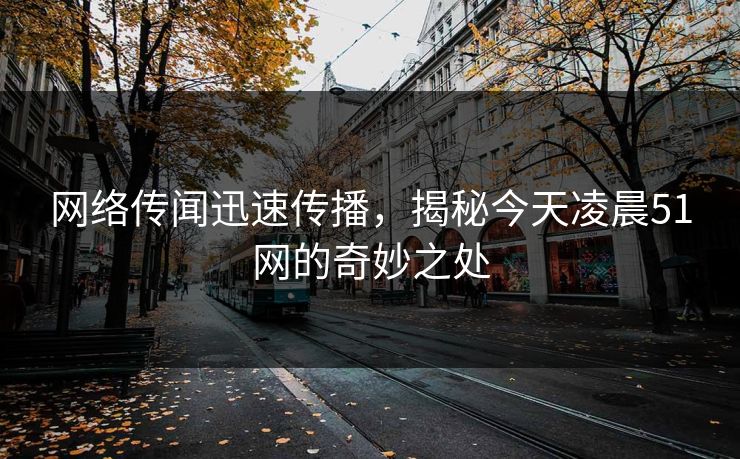网络传闻迅速传播，揭秘今天凌晨51网的奇妙之处