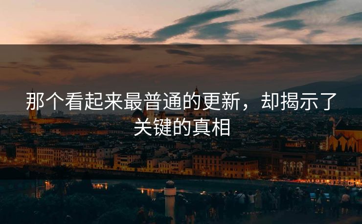 那个看起来最普通的更新，却揭示了关键的真相