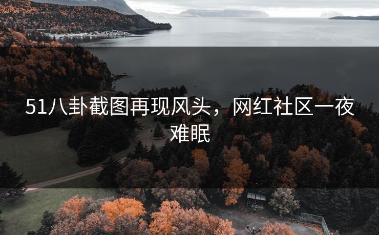 51八卦截图再现风头，网红社区一夜难眠