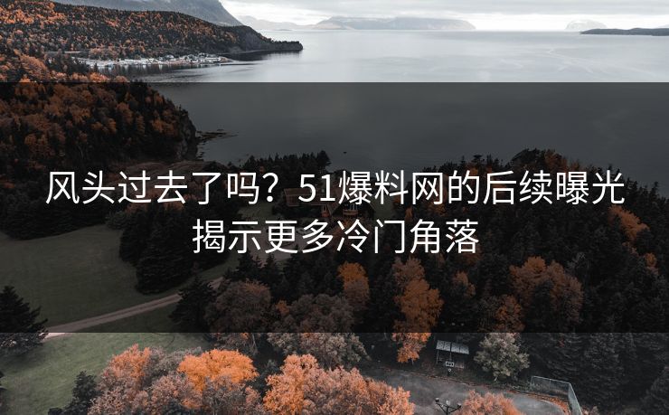 风头过去了吗？51爆料网的后续曝光揭示更多冷门角落