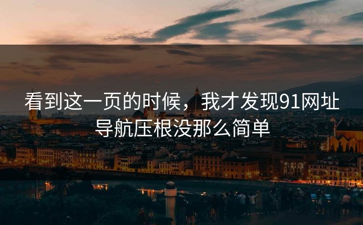看到这一页的时候，我才发现91网址导航压根没那么简单
